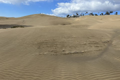 Dunele din Maspalomas, Gran Canaria 18