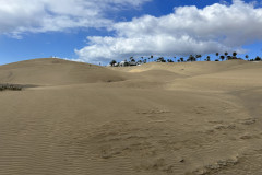 Dunele din Maspalomas, Gran Canaria 19