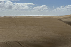 Dunele din Maspalomas, Gran Canaria 26