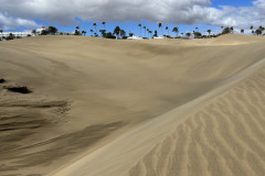 Dunele din Maspalomas, Gran Canaria 28