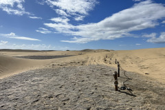 Dunele din Maspalomas, Gran Canaria 39