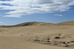 Dunele din Maspalomas, Gran Canaria 41