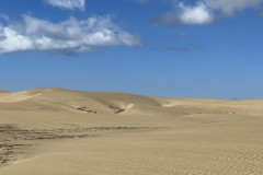 Dunele din Maspalomas, Gran Canaria 42