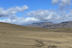 Dunele din Maspalomas, Gran Canaria 63