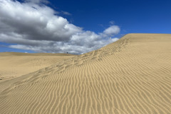 Dunele din Maspalomas, Gran Canaria 86