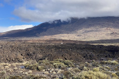 Ethnographic Museum Juan Évora, Tenerife 14