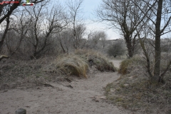 Formby Beach Anglia 10