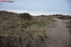 Formby Beach Anglia 13