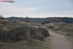 Formby Beach Anglia 17