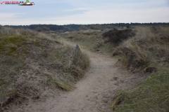 Formby Beach Anglia 18