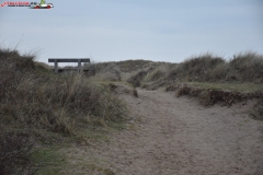 Formby Beach Anglia 19