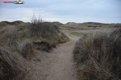 Formby Beach Anglia 21