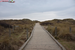 Formby Beach Anglia 26