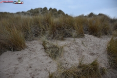 Formby Beach Anglia 31