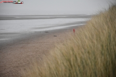 Formby Beach Anglia 38