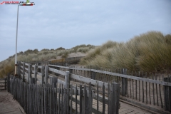 Formby Beach Anglia 42