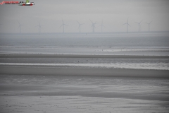 Formby Beach Anglia 45