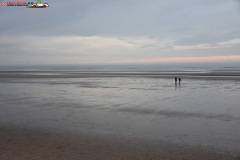 Formby Beach Anglia 46