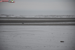 Formby Beach Anglia 62