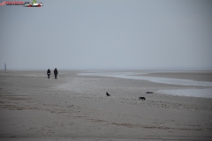 Formby Beach Anglia 98