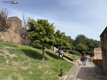 Fortăreață Alcazaba din Malaga 101