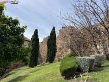 Fortăreață Alcazaba din Malaga 105