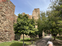 Fortăreață Alcazaba din Malaga 112