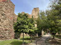 Fortăreață Alcazaba din Malaga 113