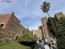 Fortăreață Alcazaba din Malaga 130