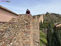Fortăreață Alcazaba din Malaga 157