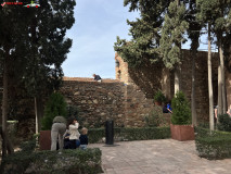 Fortăreață Alcazaba din Malaga 169