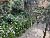 Fortăreață Alcazaba din Malaga 40