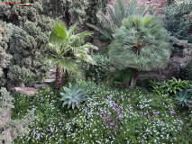 Fortăreață Alcazaba din Malaga 49