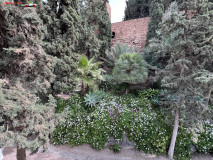 Fortăreață Alcazaba din Malaga 50