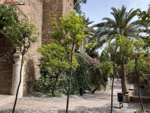 Fortăreață Alcazaba din Malaga 58