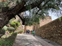 Fortăreață Alcazaba din Malaga 93