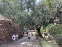 Fortăreață Alcazaba din Malaga 96