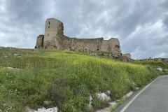 Fortareata medievala de la Enisala 17