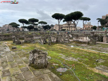 Forurile Imperiale din Roma 42