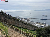 Gibraltar 64