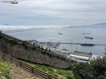 Gibraltar 65