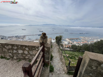 Gibraltar 69