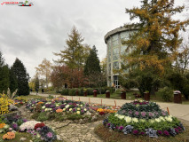Grădina Botanică Anastasie Fătu din Iași 29
