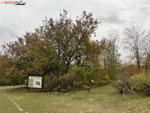 Grădina Botanică Anastasie Fătu din Iași 32