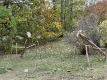 Grădina Botanică Anastasie Fătu din Iași 33