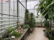 Grădina Botanică Anastasie Fătu din Iași 54