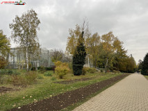 Grădina Botanică Anastasie Fătu din Iași 65