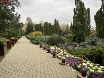 Grădina Botanică Anastasie Fătu din Iași 66