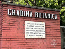 Grădina Botanică Dimitrie Brândză Bucureşti 01