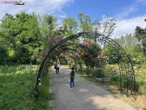 Grădina Botanică Dimitrie Brândză Bucureşti 16